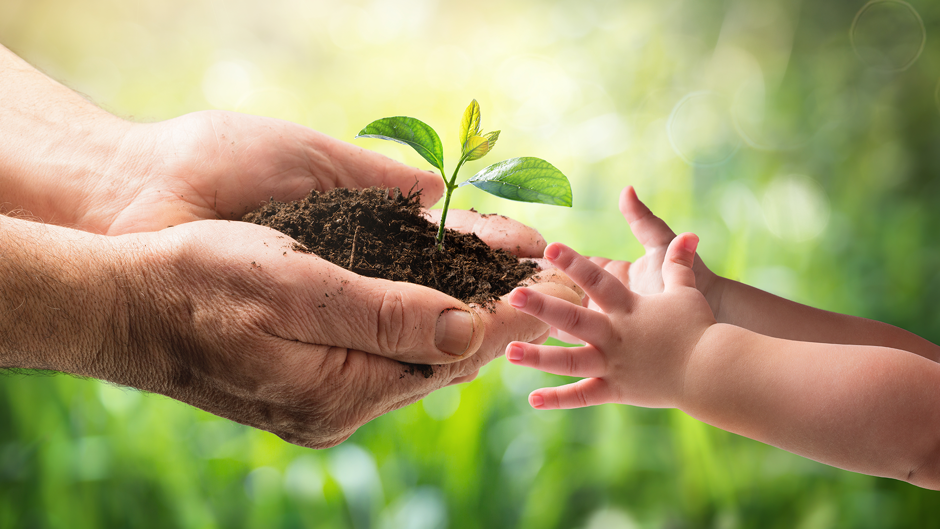 Papá enseñándole a su pequeño el compromiso con la naturaleza
